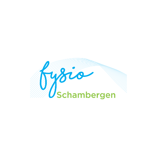 Fysiotherapie Schambergen business profile with logo, location map, and showroom access