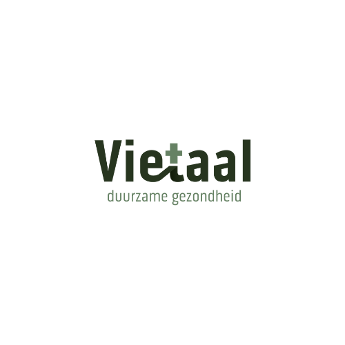 Vietaal profile card with logo, contact icons, showroom access button, and embedded Google Map showing Gerard Boedijnstraat 9, Kerkrade.