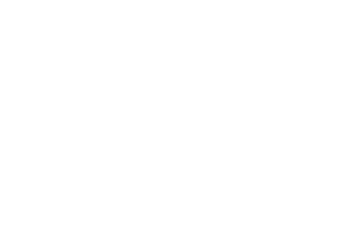 Details Image