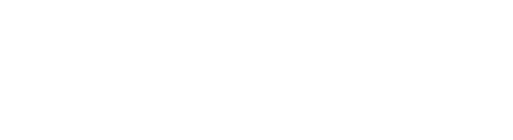 Push & Pull Fitness official business logo