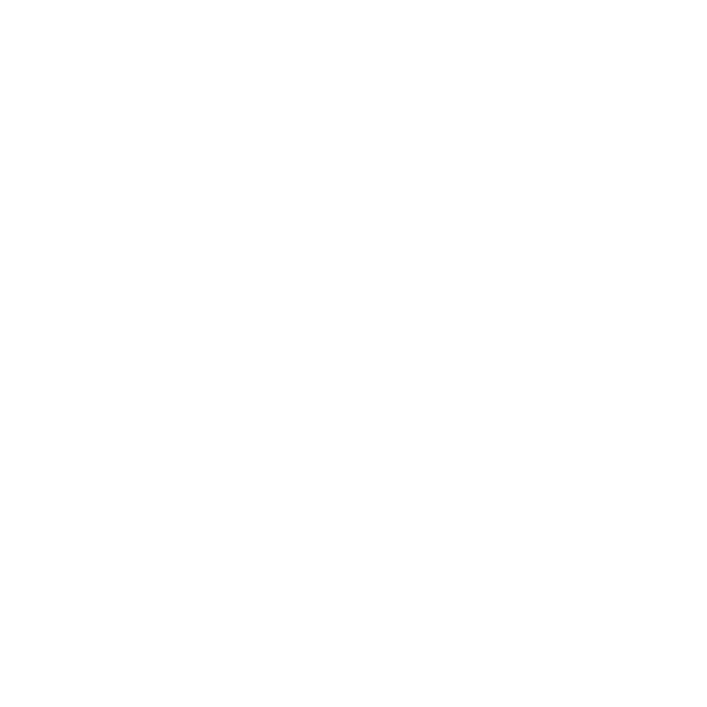 Strength Valley official business logo